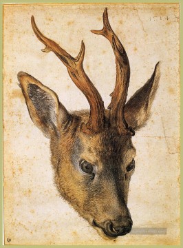 Kopf eines Stag Albrecht Dürer Ölgemälde